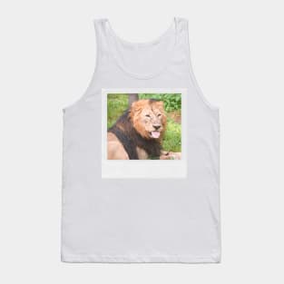 LION Cute Lion With Tonge Out Jungle Nature Cats & Kittens Picture Tank Top